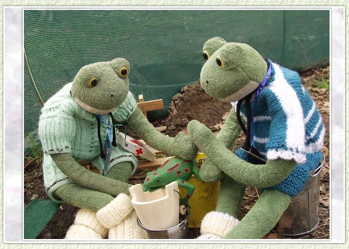 Mit großen Schlucken löscht der kleine Frosch seinen Durst. "Nicht so hastig, sonst verschluckst du dich", ermahnt Poldi den Kleinen. "Das frische Wasser ist eine Wohltat, es schmeckt sehr gut. Ich glaube, die Tablette wirkt schon und die Kopfschmerzen lassen nach", verkündet der kleine Frosch.