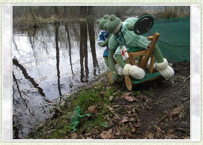 Poldi und Richi verabschieden den kleinen Frosch. "Wir wünschen dir noch viel Spaß mit deinen Freunden am Teich und grüße sie bitte von uns". Der kleine Frosch antwortet: "Vielen Dank für eure Hilfe. Ich werde allen Teichbewohnern von meiner Rettung durch euch erzählen. Besucht uns doch mit euren Freunden im Frühjahr, dann können wir zusammen grünen Froschtee trinken". Poldi entgegnet: "Die Einladung nehmen wir gern an, vielen Dank und auf Wiedersehen!"