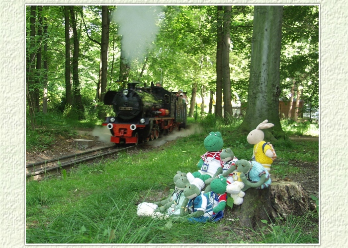 "Da kann ich ja nur die Ohren anlegen, wie habt ihr das geschafft?", staunt Hase Hoppel. "Gelernt ist gelernt" ,erwidert Kurti stolz . "Das wird bestimmt ein schönes Bild für unser Album", stellt Fridolin fest.