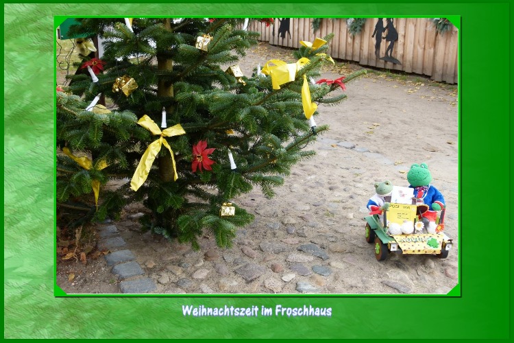 Nach kurzer Fahrt stoppt Mondi das Auto:"Sieh mal , hier steht schon ein Weihnachtsbaum, den schaue ich mir näher an." Kurti :"Ich komme mit, hier drüben steht ein Gebäude, dort wohnt vielleicht der Weihnachtsmann."