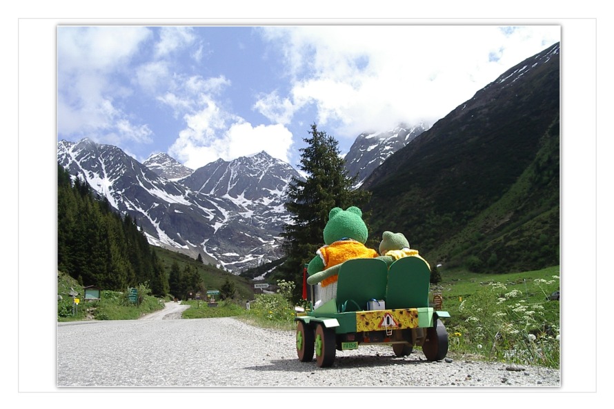 "Hier im Tal ist es wunderbar, die Sonne scheint und die Blumen blühen. Auf dem Berg war neblig und kalt", meint Mondi zu Kurti. "Wir werden für morgen gleich einen Ausflug planen, das schöne Wetter müssen wir nutzen", entscheidet Kurti.