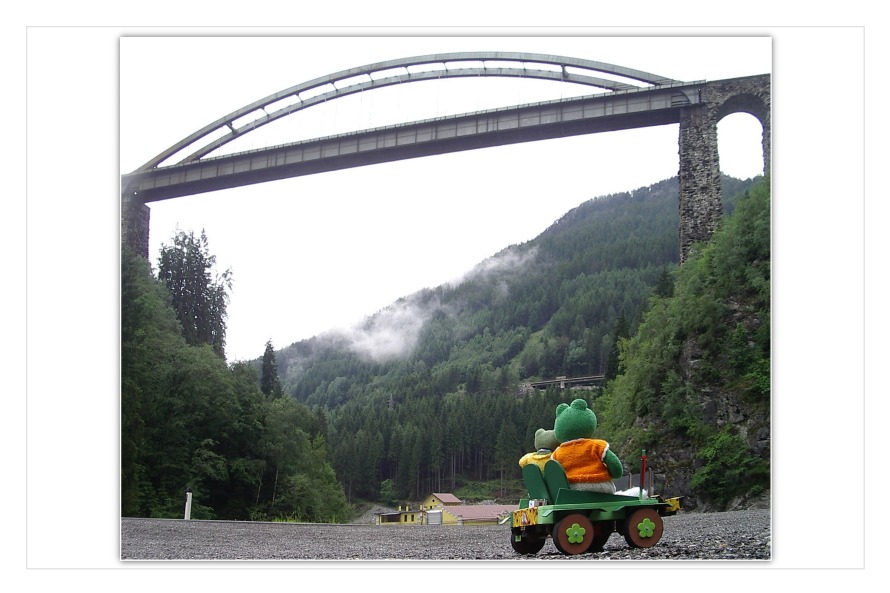 Kurti und Mondi haben noch diese große Brücke entdeckt. "Ganz da oben fahren die Züge, wenn wir etwas warten kommt vielleicht ein Zug", sagt Kurti. "Wir haben doch noch Zeit, warten wir einfach. Versuch doch den Zug zu fotografieren , wenn er über die Brücke fährt", schlägt Mondi vor. "Das wird nicht einfach sein , aber ich probiere es",stimmt Kurti zu.