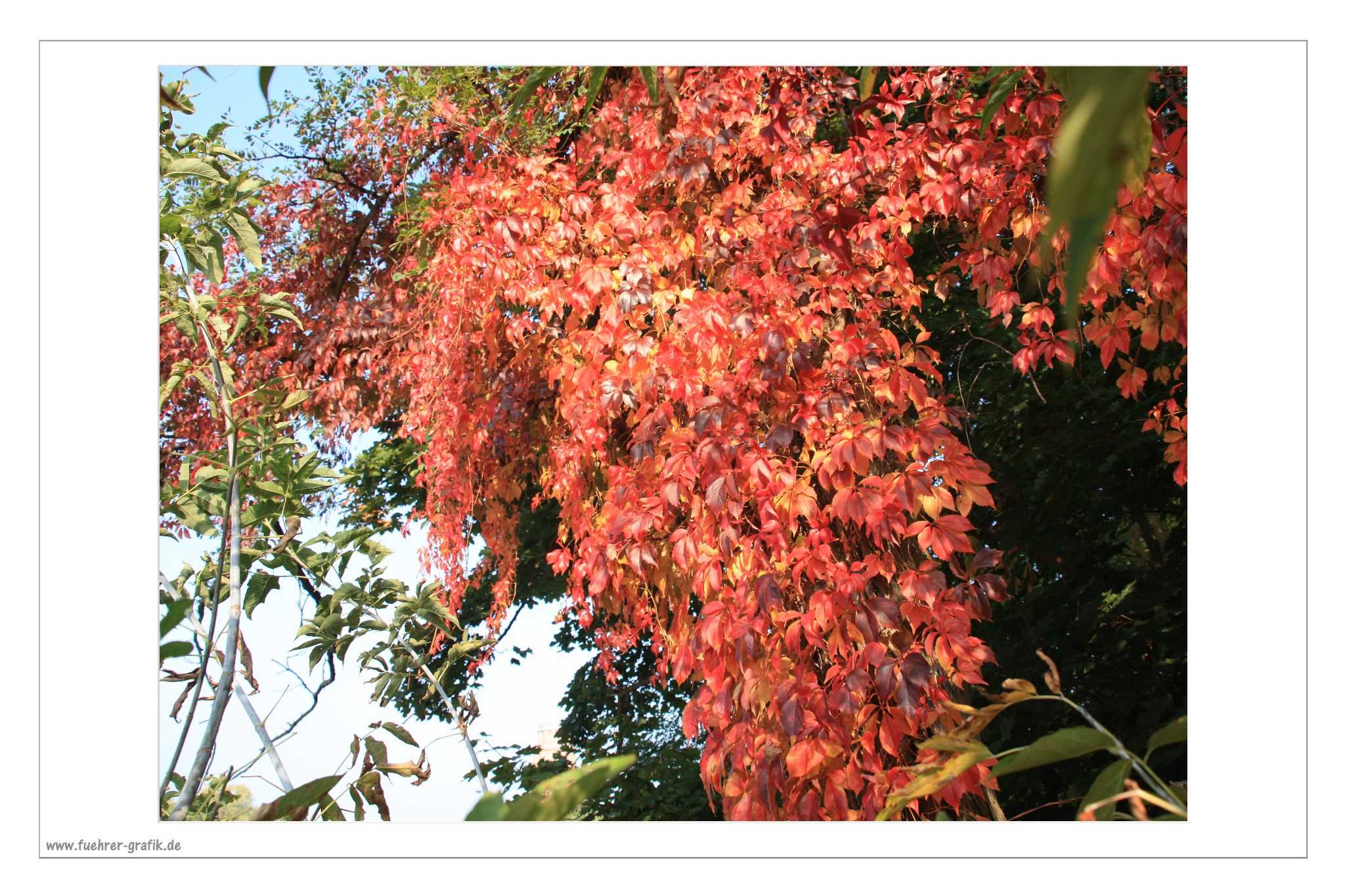 Herbstliche Impressionen