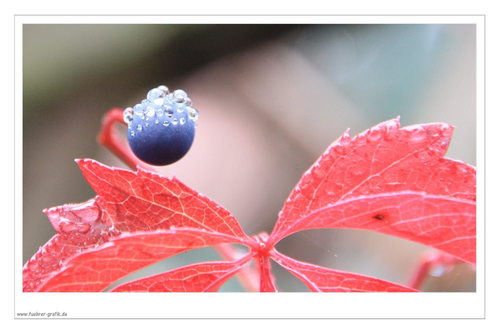 Herbstliche Impressionen