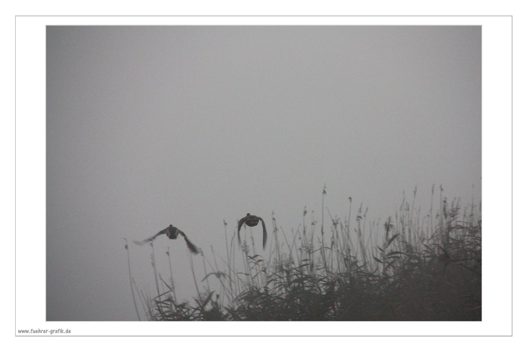 Herbstliche Impressionen