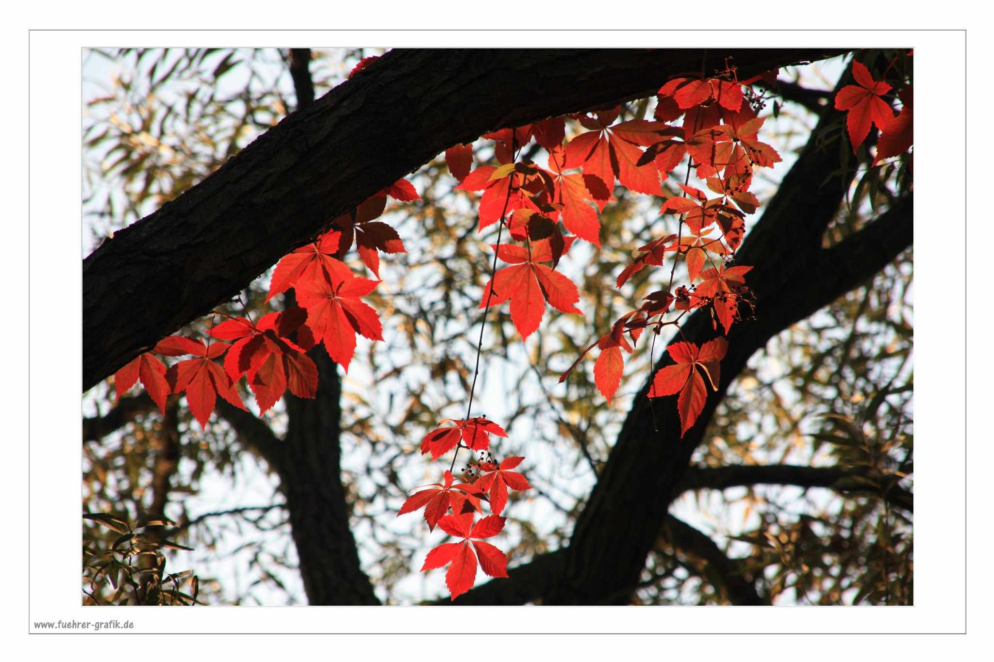 Herbstliche Impressionen