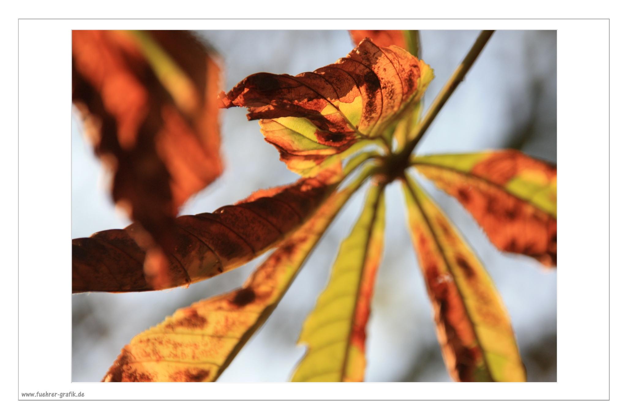 Herbstliche Impressionen